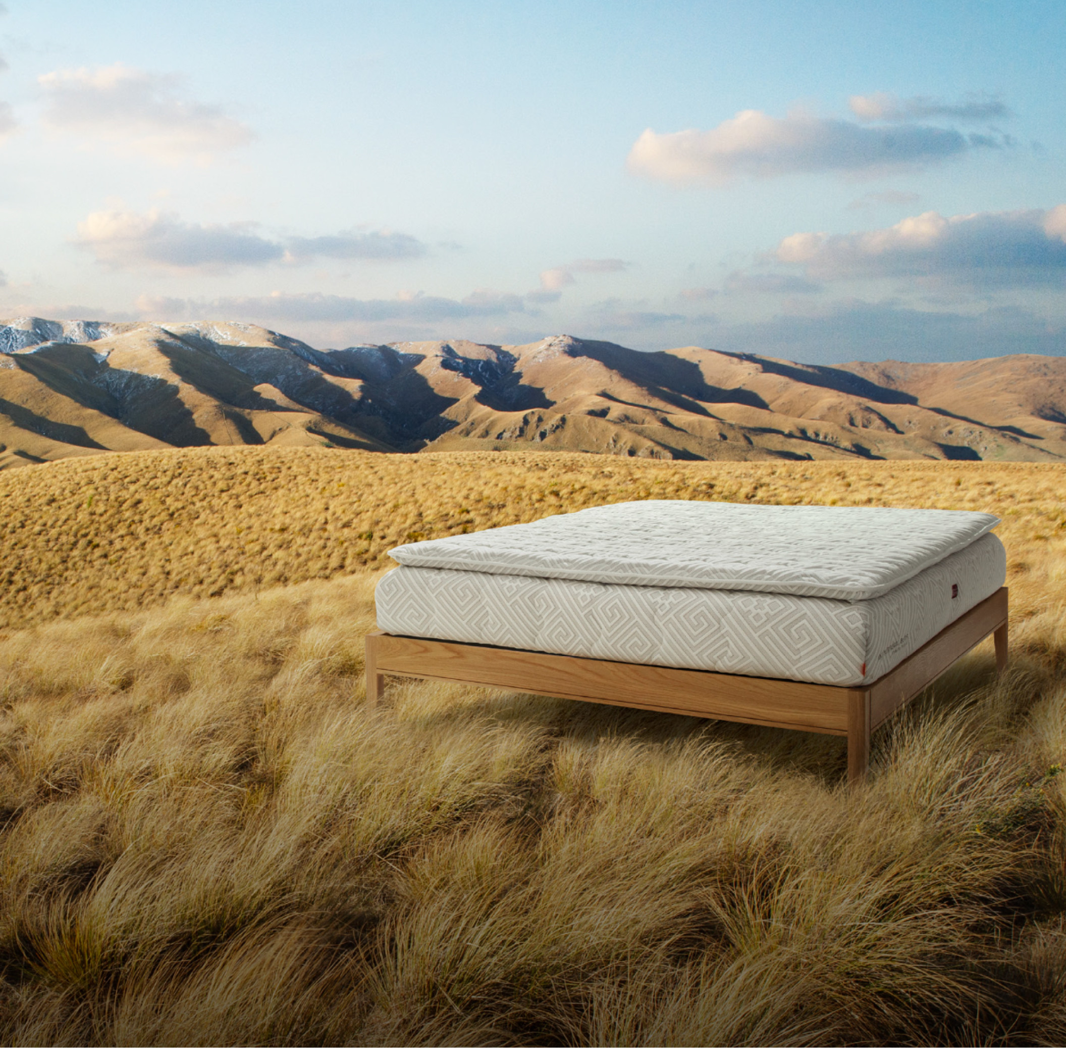 Dreamwool